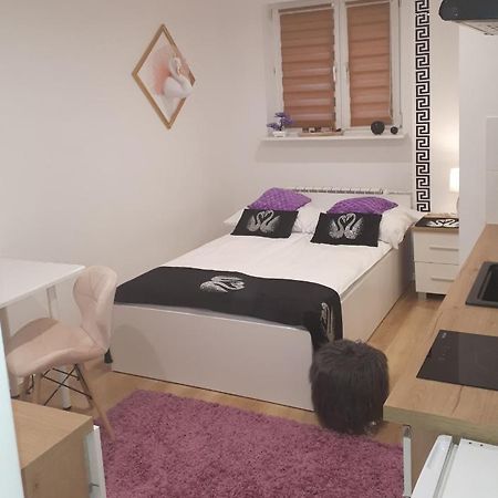 Apartamenty Centrum Panoramiczna Mala Dwojka Swan Labedz Promenada Klimatyzacja Lodowa Kielce Esterno foto