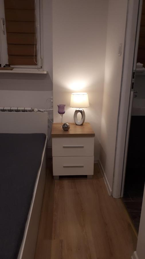 Apartamenty Centrum Panoramiczna Mala Dwojka Swan Labedz Promenada Klimatyzacja Lodowa Kielce Esterno foto