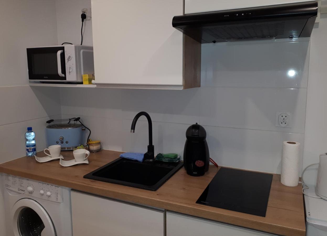 Apartamenty Centrum Panoramiczna Mala Dwojka Swan Labedz Promenada Klimatyzacja Lodowa Kielce Esterno foto