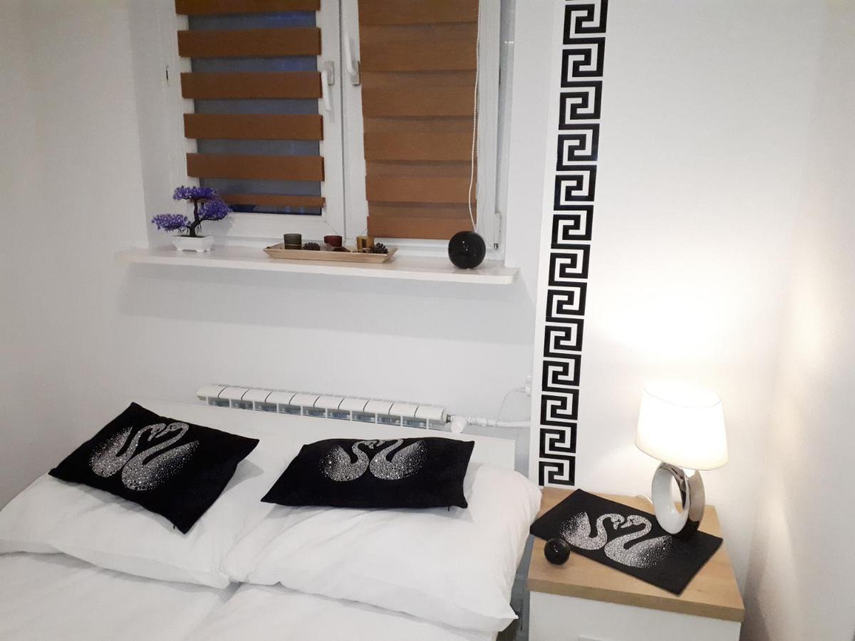 Apartamenty Centrum Panoramiczna Mala Dwojka Swan Labedz Promenada Klimatyzacja Lodowa Kielce Esterno foto