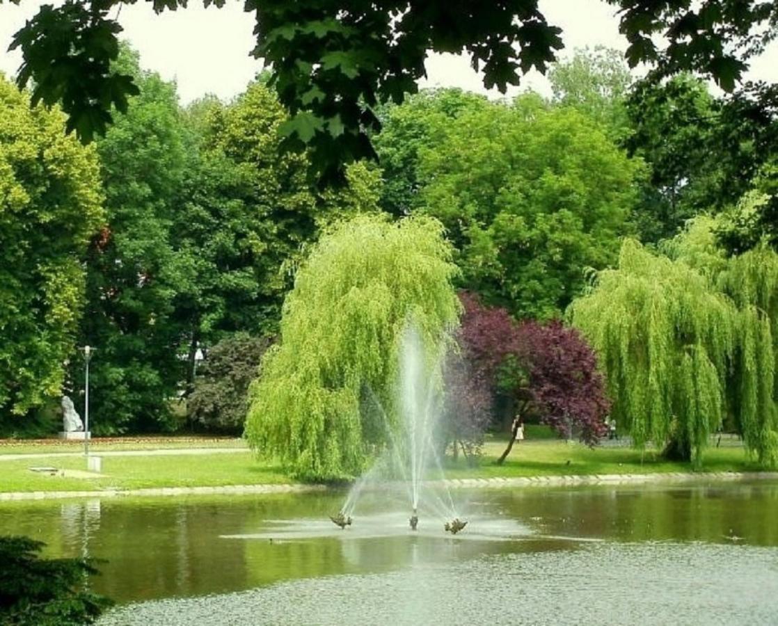 Apartamenty Centrum Panoramiczna Mala Dwojka Swan Labedz Promenada Klimatyzacja Lodowa Kielce Esterno foto