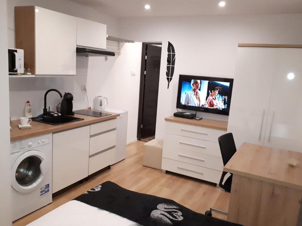 Apartamenty Centrum Panoramiczna Mala Dwojka Swan Labedz Promenada Klimatyzacja Lodowa Kielce Esterno foto