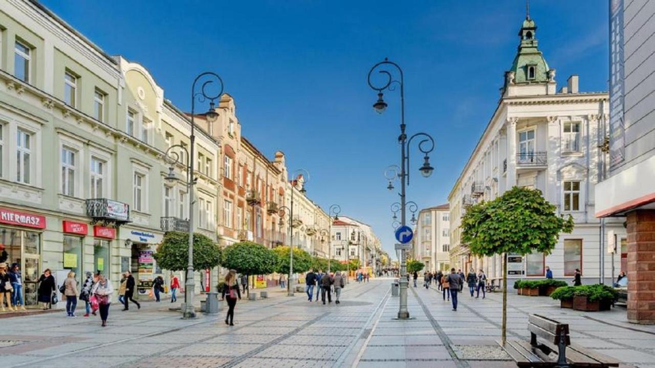 Apartamenty Centrum Panoramiczna Mala Dwojka Swan Labedz Promenada Klimatyzacja Lodowa Kielce Esterno foto