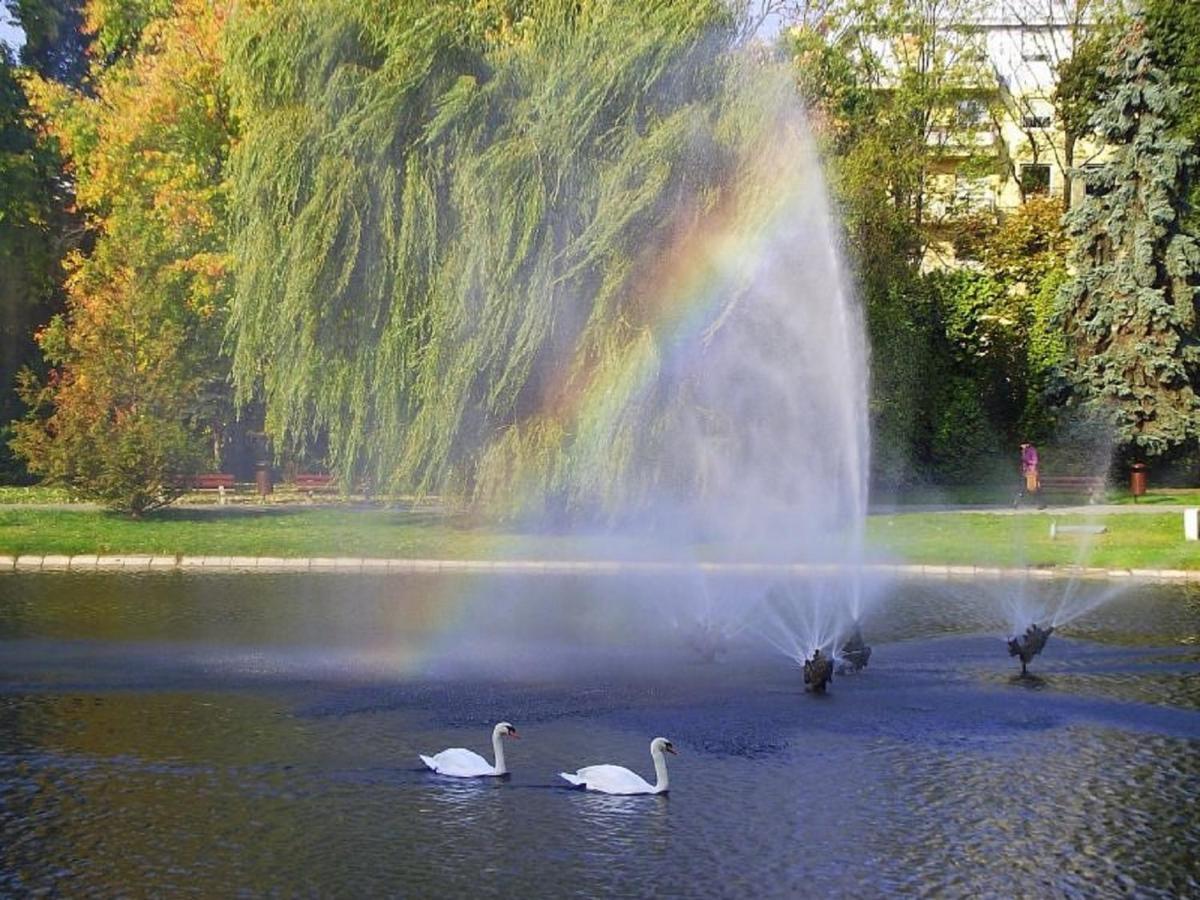 Apartamenty Centrum Panoramiczna Mala Dwojka Swan Labedz Promenada Klimatyzacja Lodowa Kielce Esterno foto