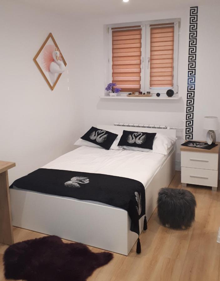 Apartamenty Centrum Panoramiczna Mala Dwojka Swan Labedz Promenada Klimatyzacja Lodowa Kielce Esterno foto