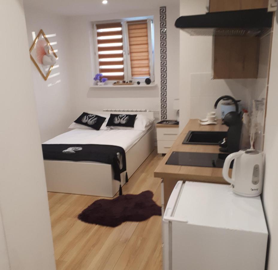Apartamenty Centrum Panoramiczna Mala Dwojka Swan Labedz Promenada Klimatyzacja Lodowa Kielce Esterno foto