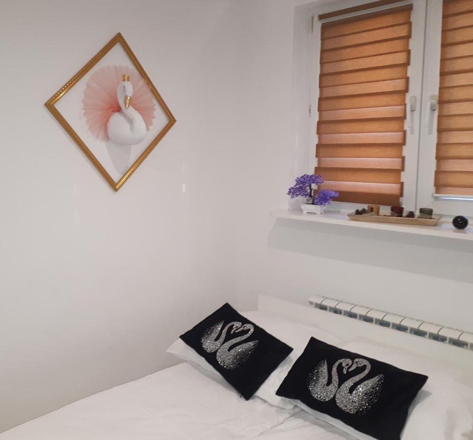 Apartamenty Centrum Panoramiczna Mala Dwojka Swan Labedz Promenada Klimatyzacja Lodowa Kielce Esterno foto