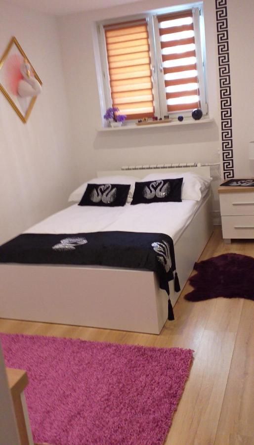 Apartamenty Centrum Panoramiczna Mala Dwojka Swan Labedz Promenada Klimatyzacja Lodowa Kielce Esterno foto
