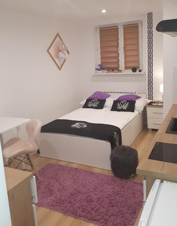 Apartamenty Centrum Panoramiczna Mala Dwojka Swan Labedz Promenada Klimatyzacja Lodowa Kielce Esterno foto
