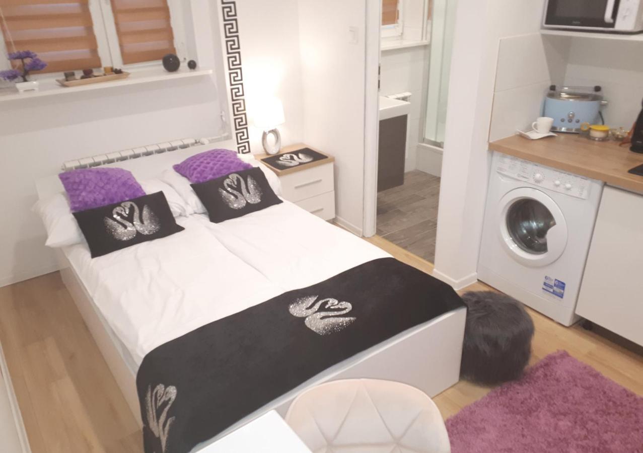 Apartamenty Centrum Panoramiczna Mala Dwojka Swan Labedz Promenada Klimatyzacja Lodowa Kielce Esterno foto