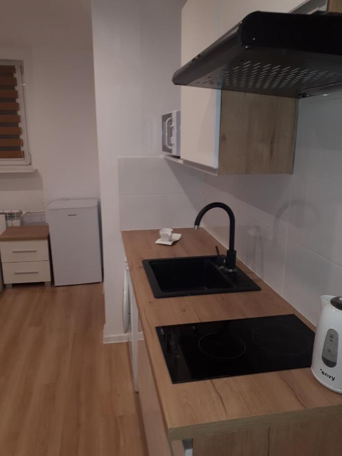 Apartamenty Centrum Panoramiczna Mala Dwojka Swan Labedz Promenada Klimatyzacja Lodowa Kielce Esterno foto